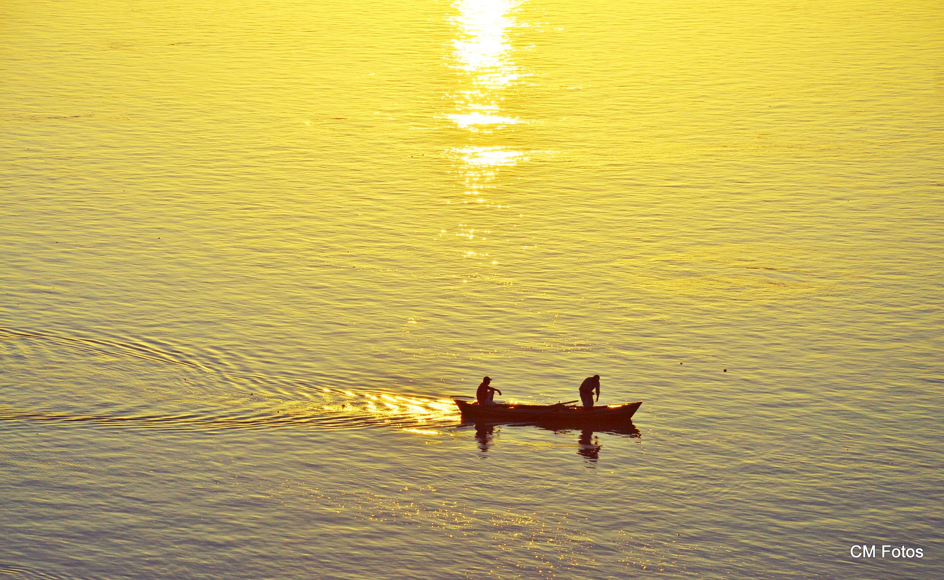 183022525 3971767819565668 4696923546778490558 n