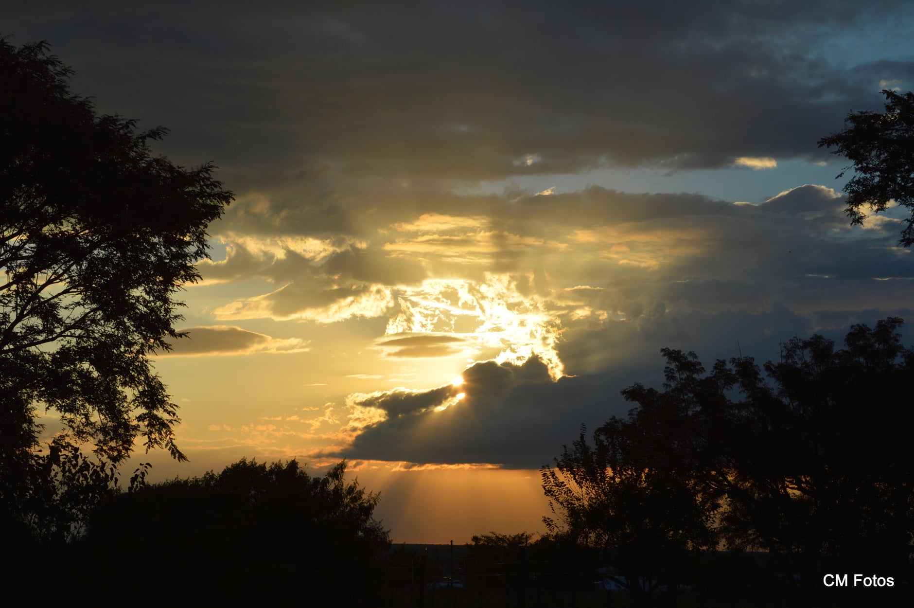 184851009 3984973804911736 402977411979375867 n