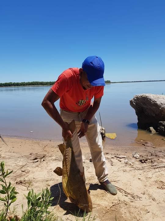 261383212 412069997328793 2570605945256082803 n