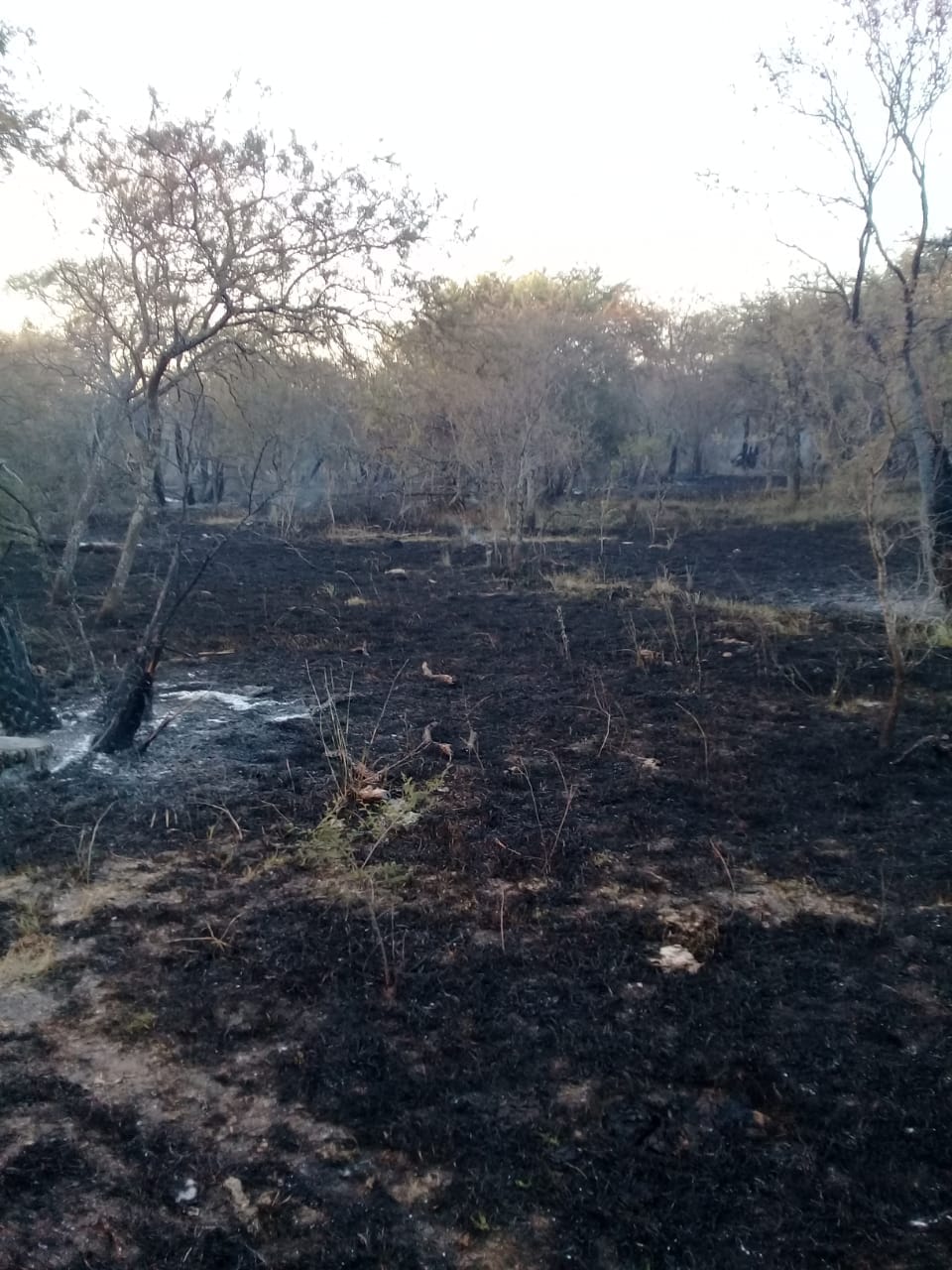 270823534 433038395183047 3783852082647713500 n