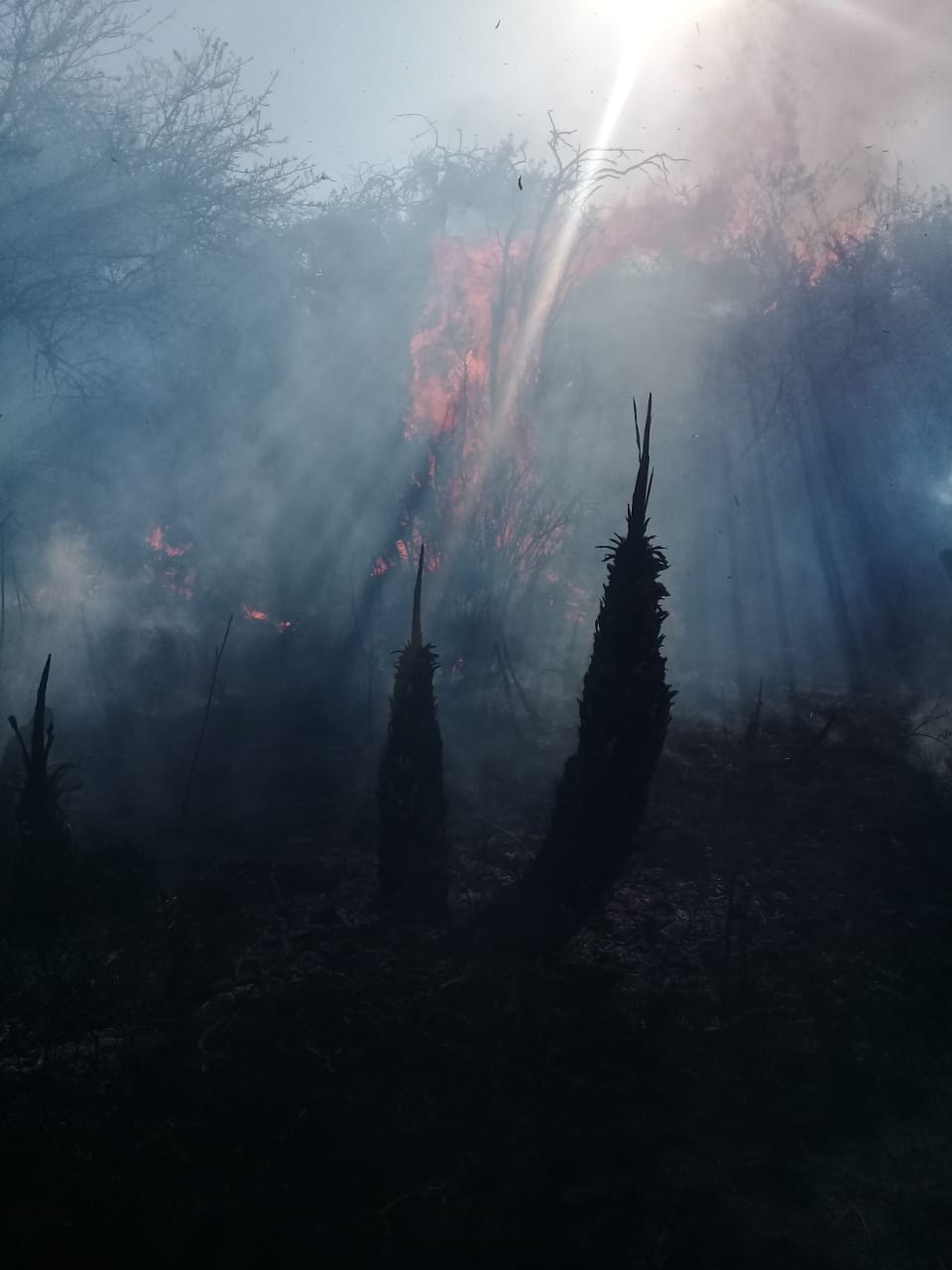 271165845 433038228516397 6831343028748690999 n