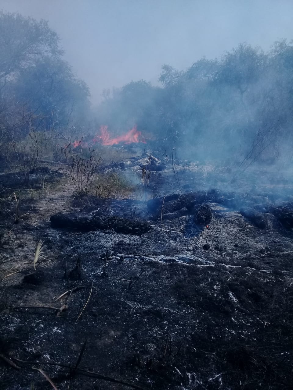 271239985 433038525183034 715069576445131835 n