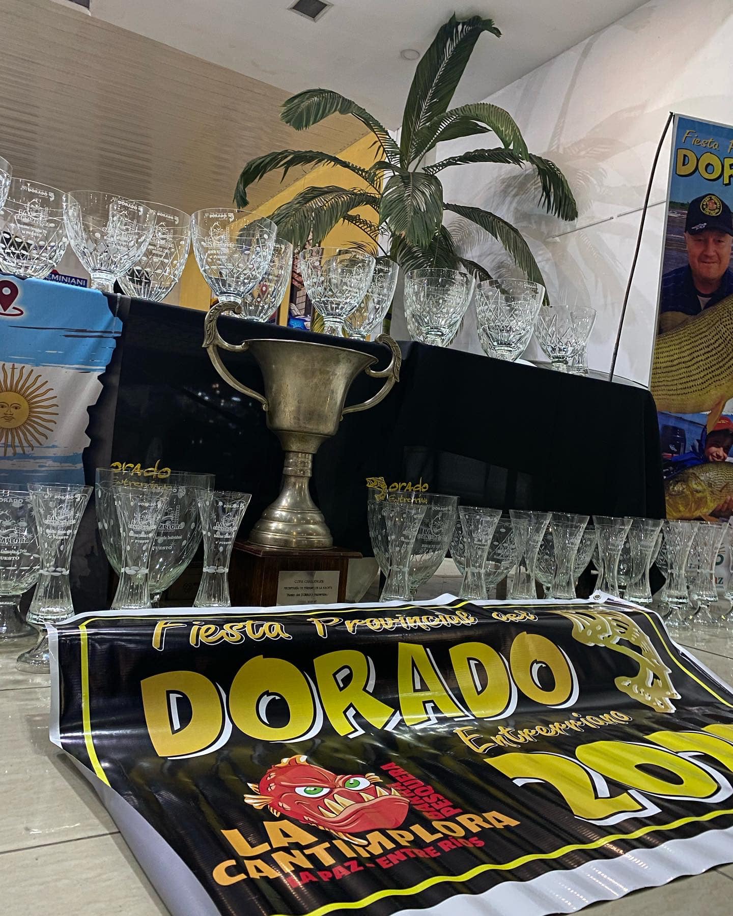 307314336 416062977313865 7154606949238527142 n