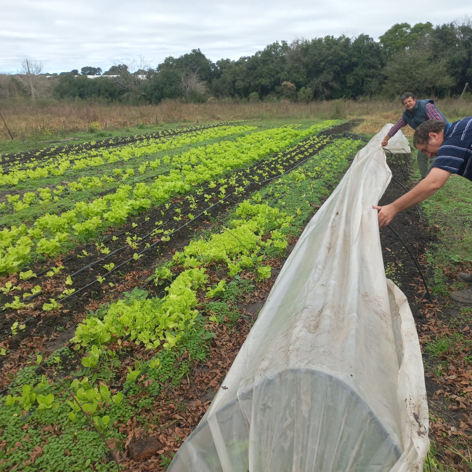 3718f6ab 3707 4b4a a3f3 65b3a45c8395