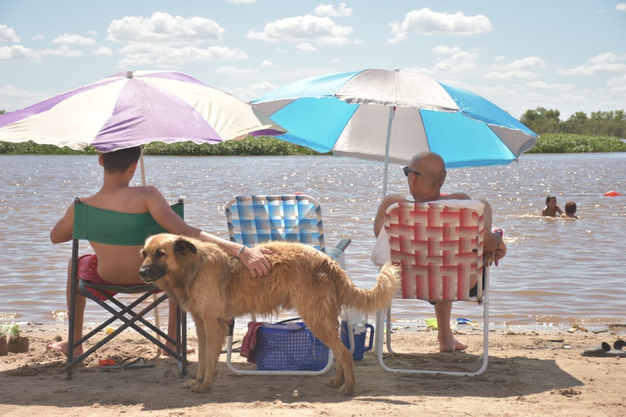 423162513 759312379564162 4323116624188519280 n