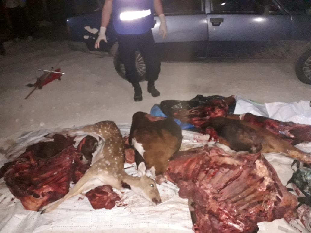 49b774f2 5eb1 4ede afc3 e4c5bd8a88fb