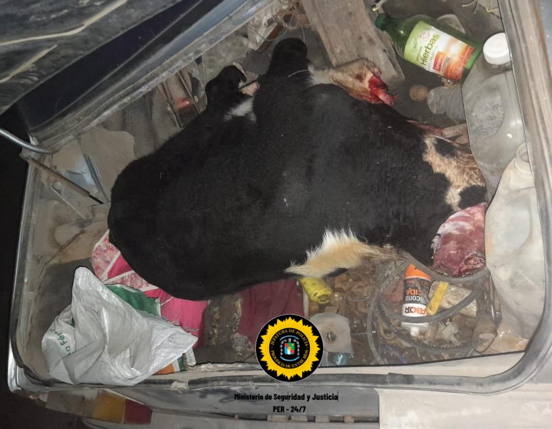 7947d862 1c4c 4a21 832e fa267897dba6