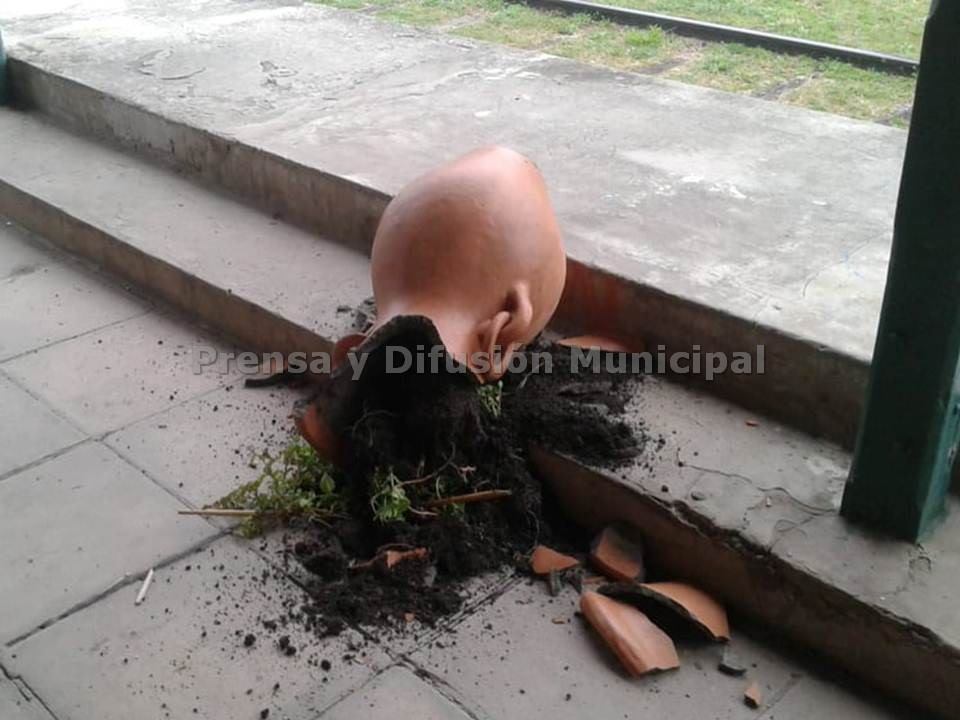 BovrilVandalismo