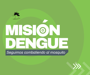 DENGUE 300x250