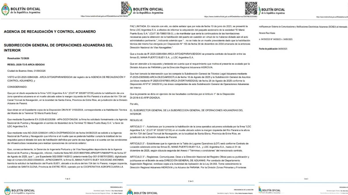 Dreyfuss autorizacion boletin oficial.jpg