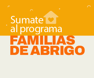 FAMILIAS DE ABRIGO 300x250