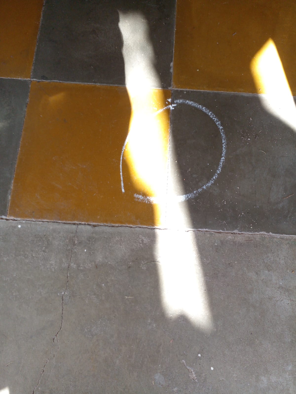 WhatsApp Image 2025-05-10 at 12.03.46.jpeg