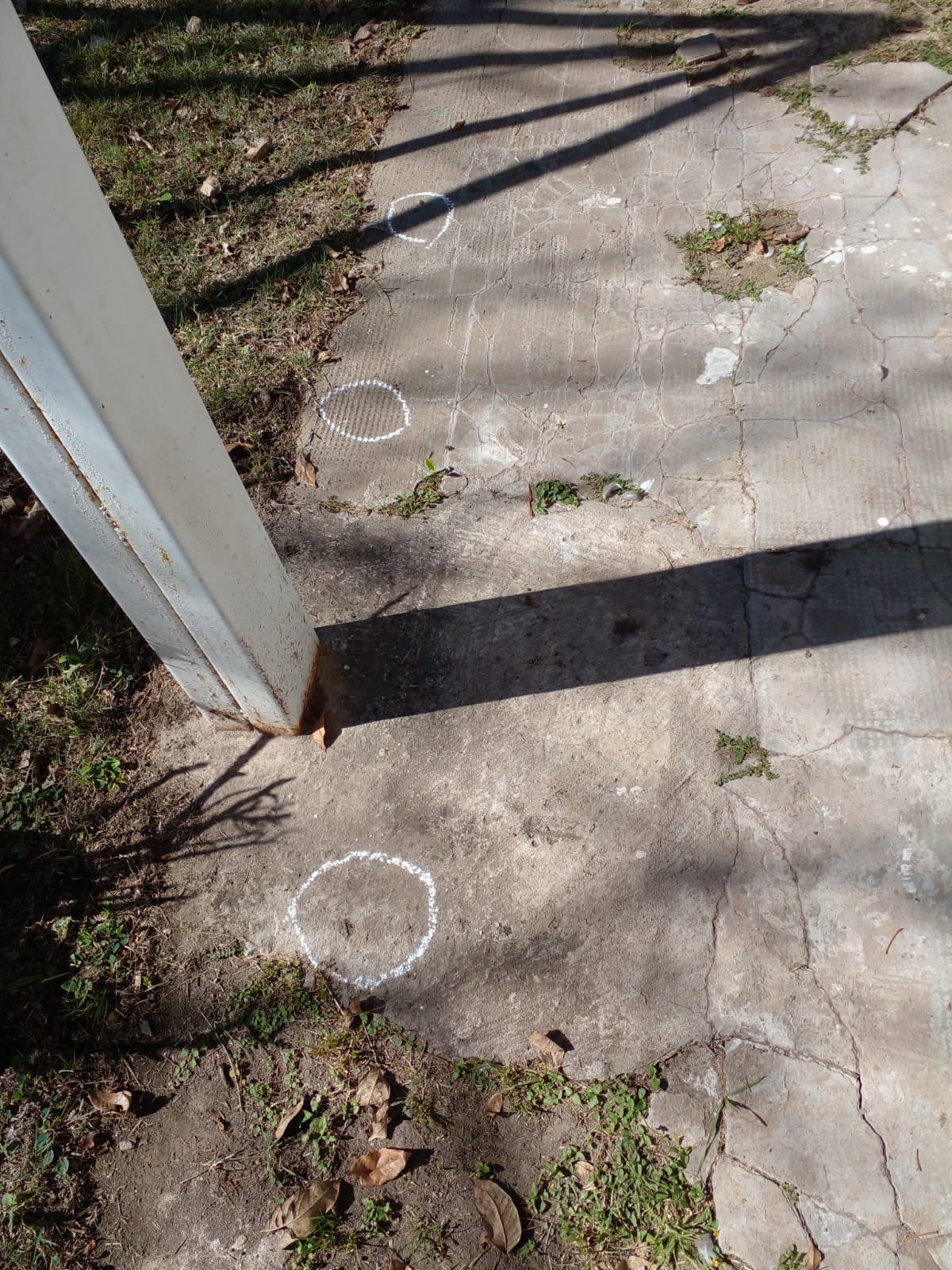 WhatsApp Image 2025-05-10 at 12.03.46 (1).jpeg