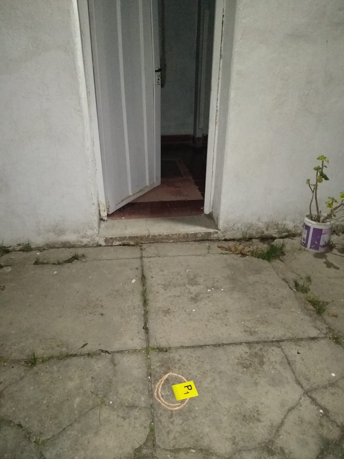 WhatsApp Image 2025-05-10 at 15.06.07.jpeg