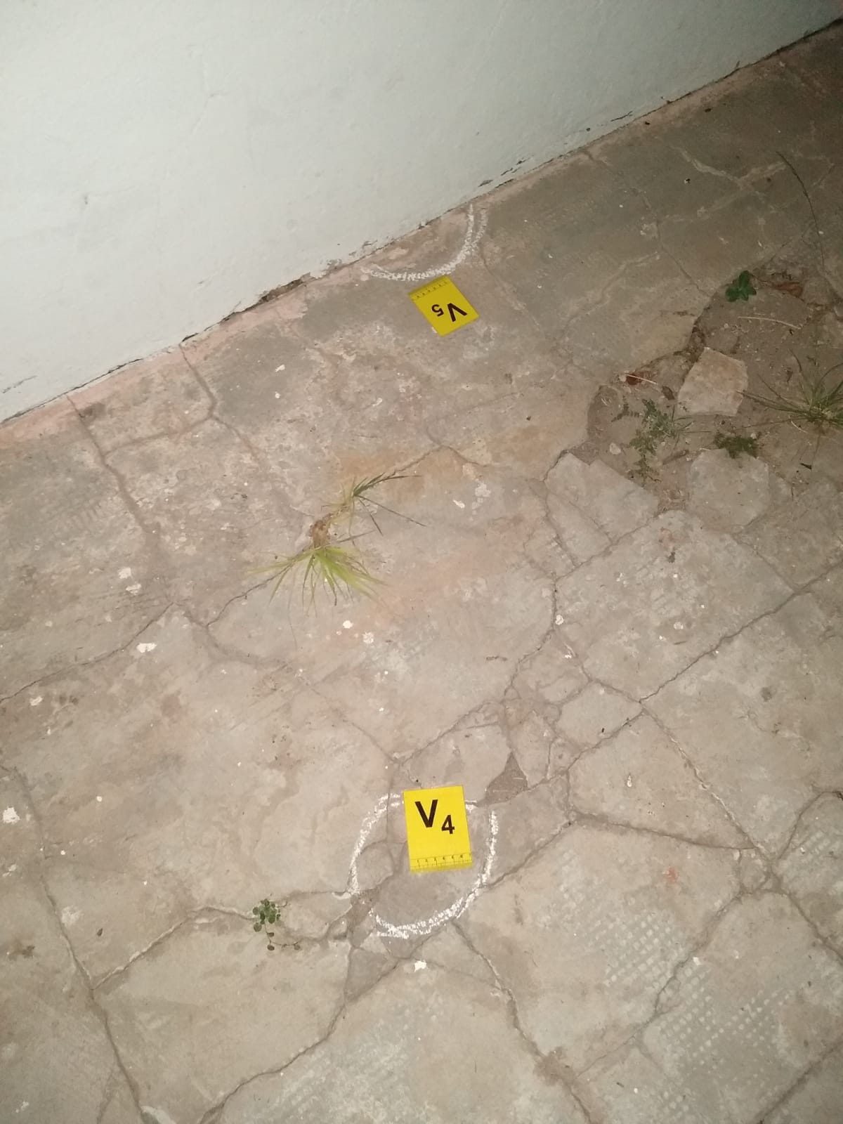 WhatsApp Image 2025-05-10 at 15.06.08 (1).jpeg