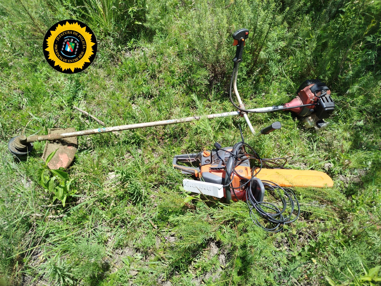 WhatsApp Image 2025-12-19 at 19.09.32.jpeg