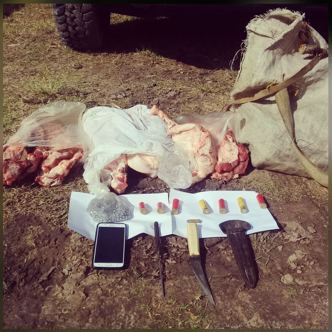 allanamientos Santa Elena carne abigeato 2