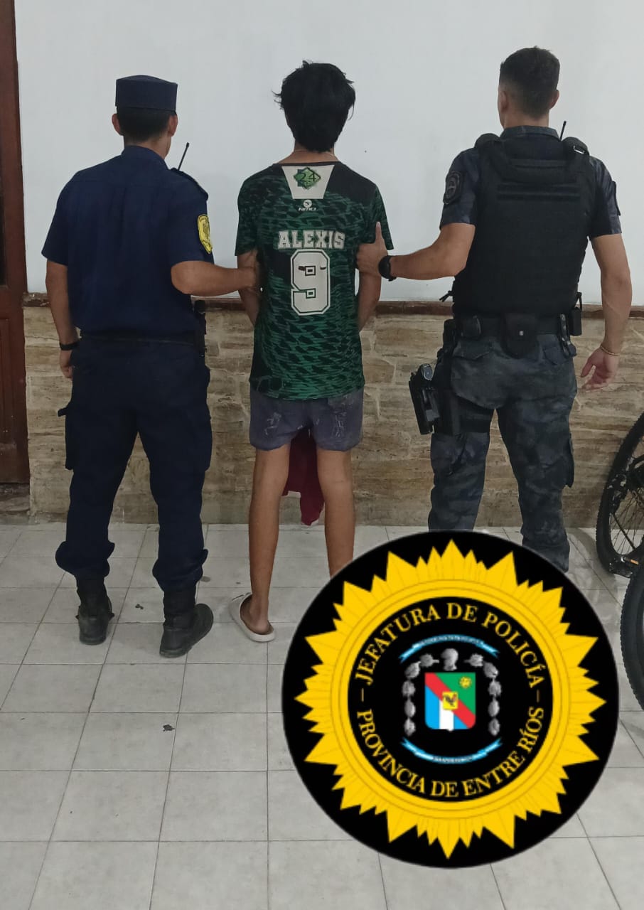 armas secuestradas 7079.jpg