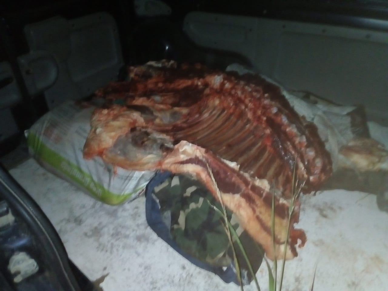 carne cuatrereada camioneta