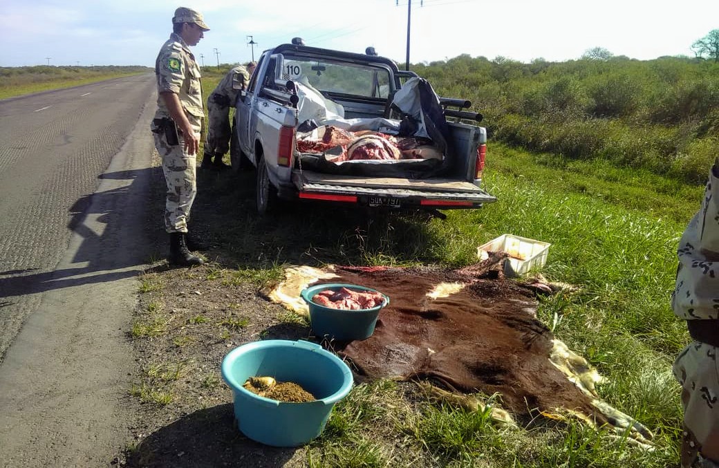 carnes bovril camioneta 5