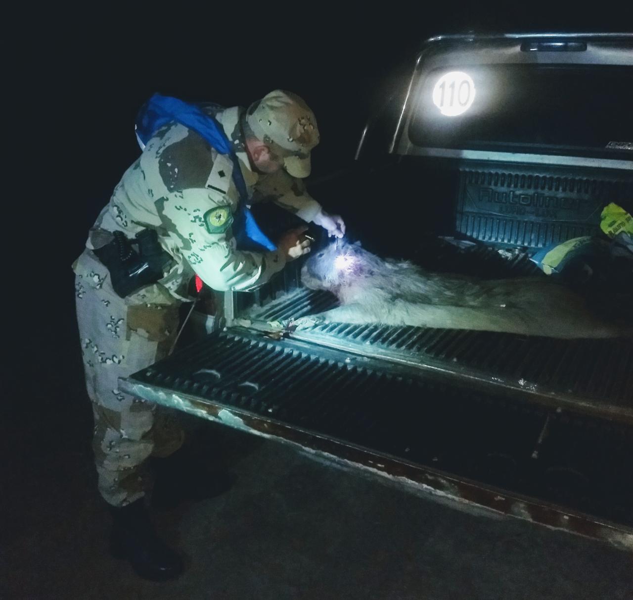 carpincho muertos delitos rurales