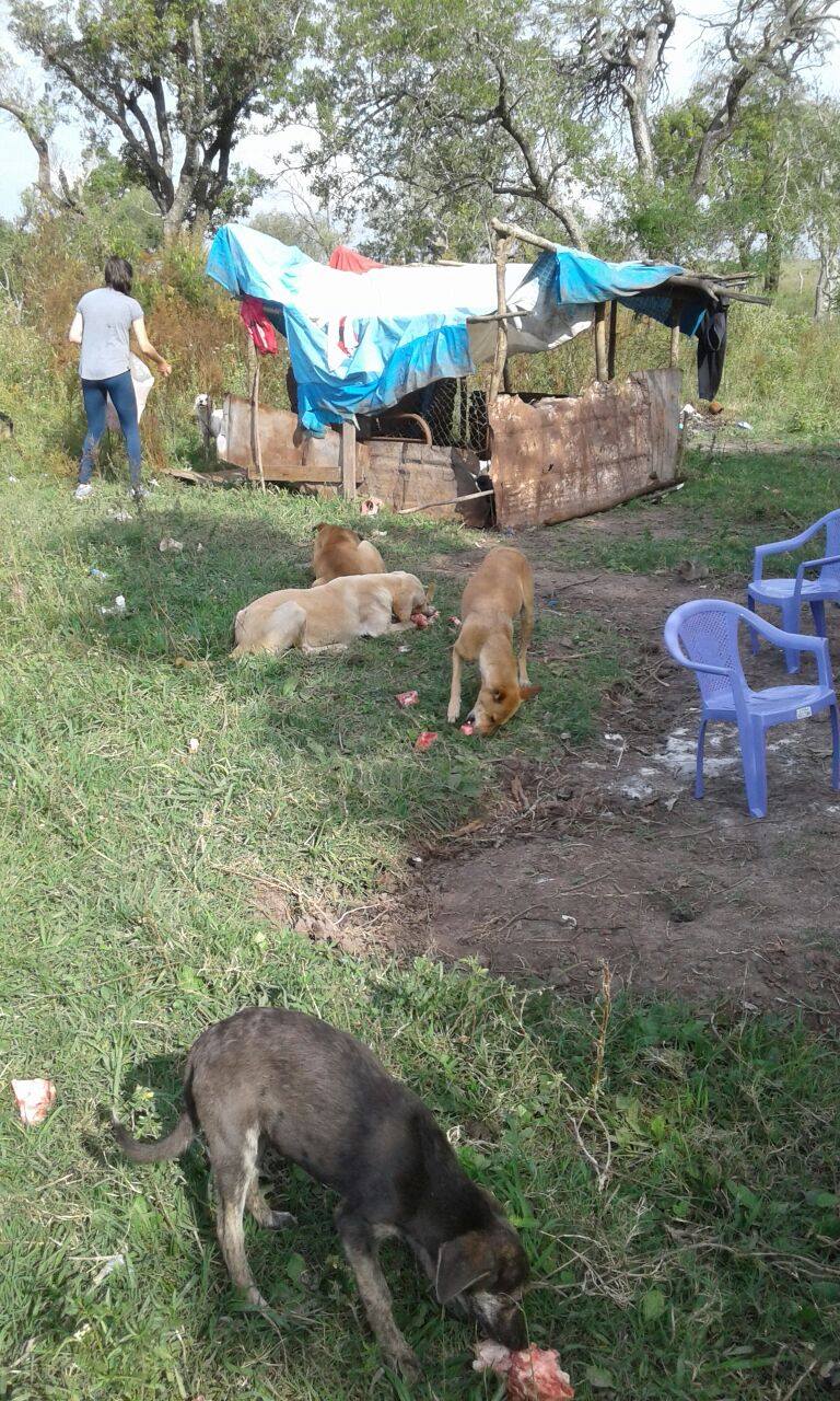 casa alumnos condiciones infrahumanas