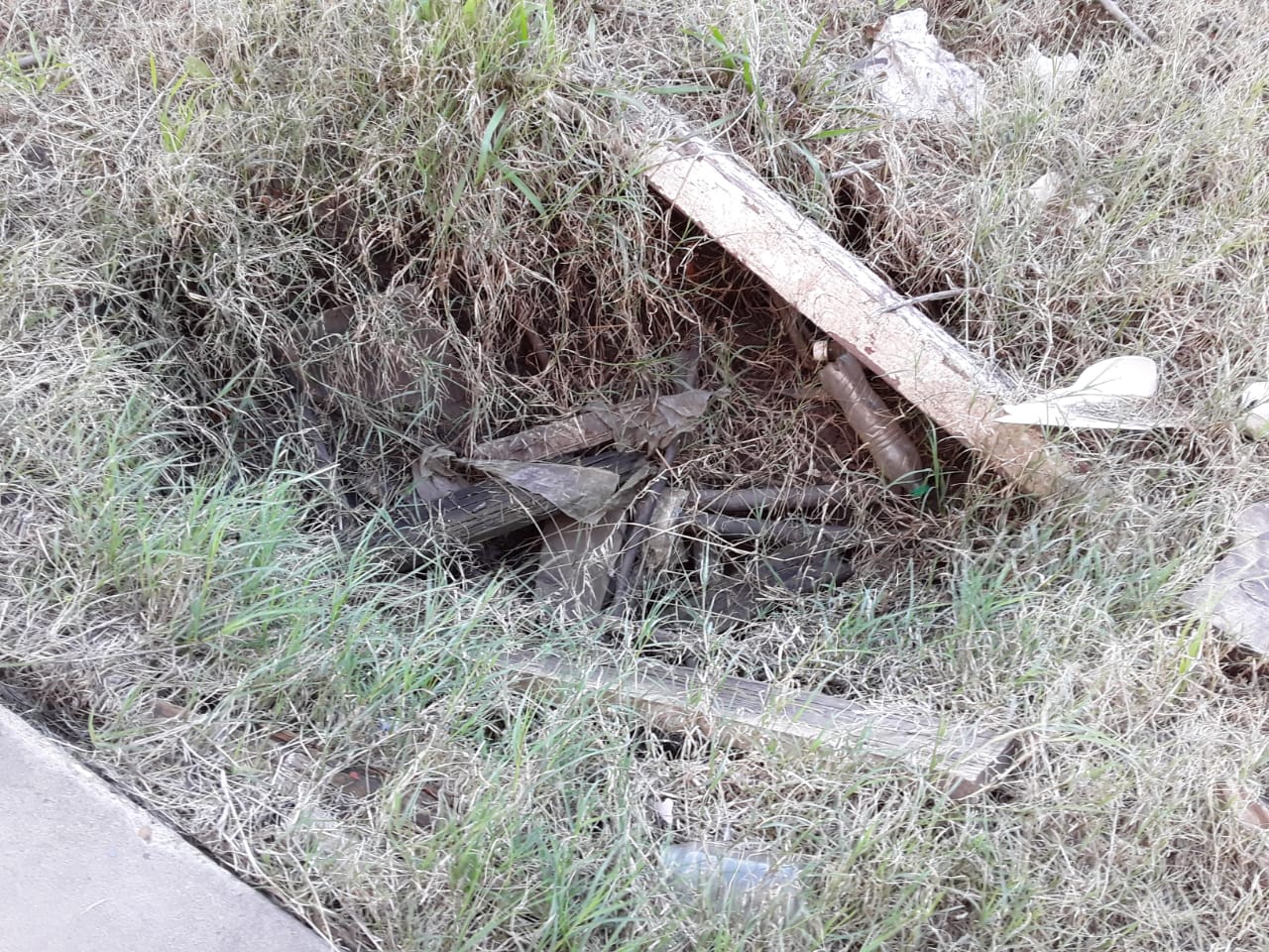 escuela alcaraz basura