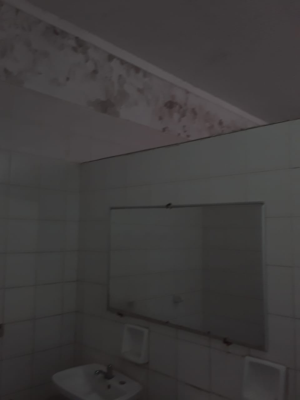 escuela alcaraz baño