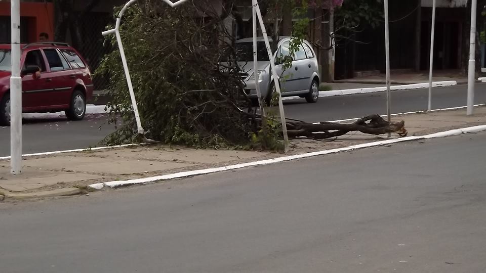 foto 2 av pte peron