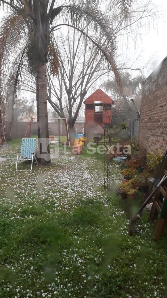 granizo bovril 1 result