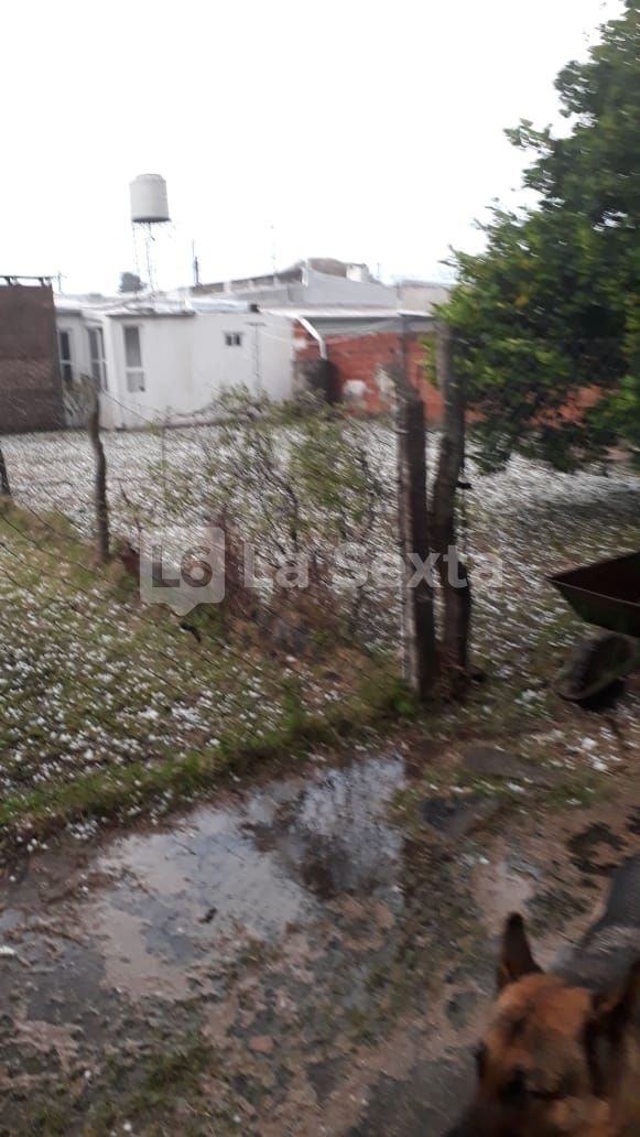 granizo bovril 2 result