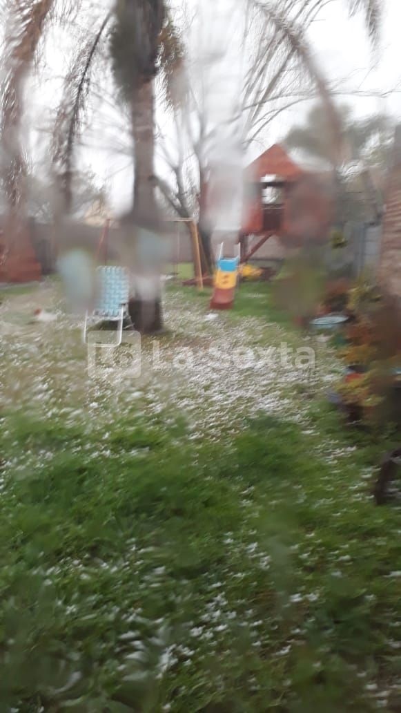 granizo bovril 4 result