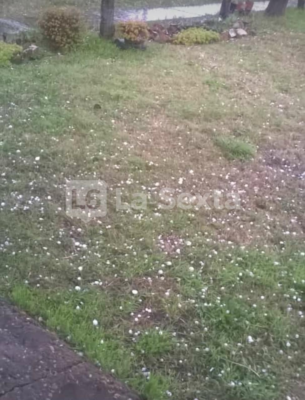 granizo bovril 7 result