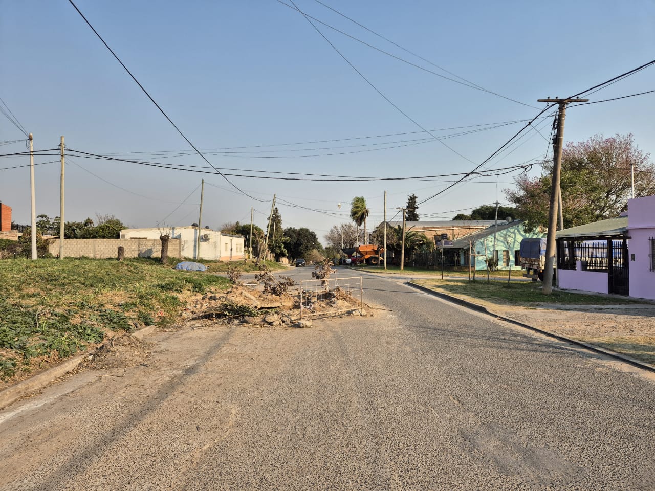 los pinos calle la paz
