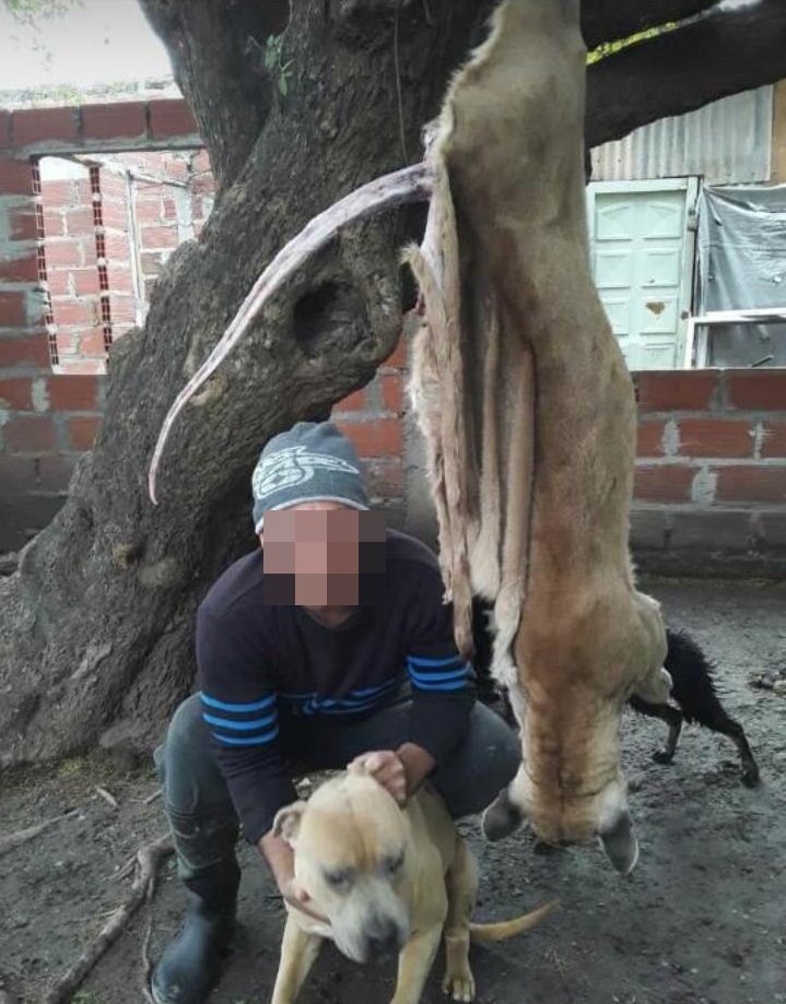 ok puma 2 el quebracho 1