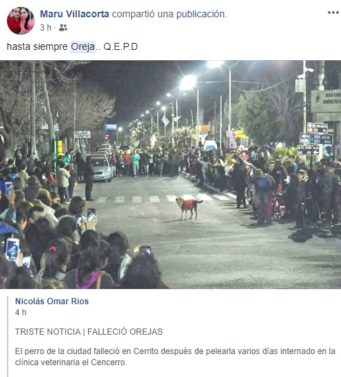 oreja 65hu7