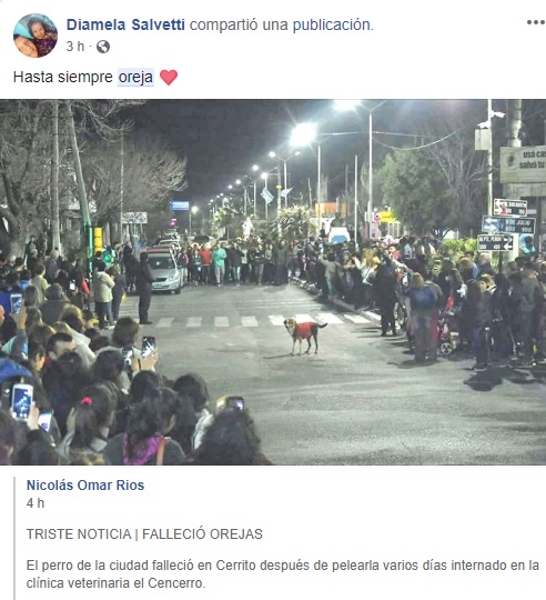 oreja y78