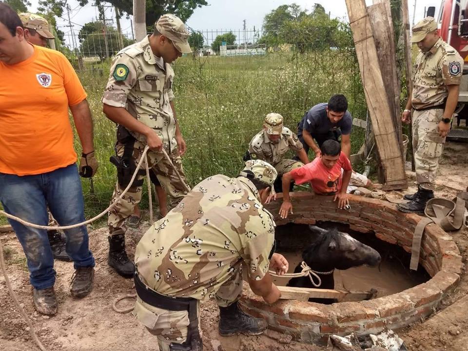rescate caballo santa elena 2