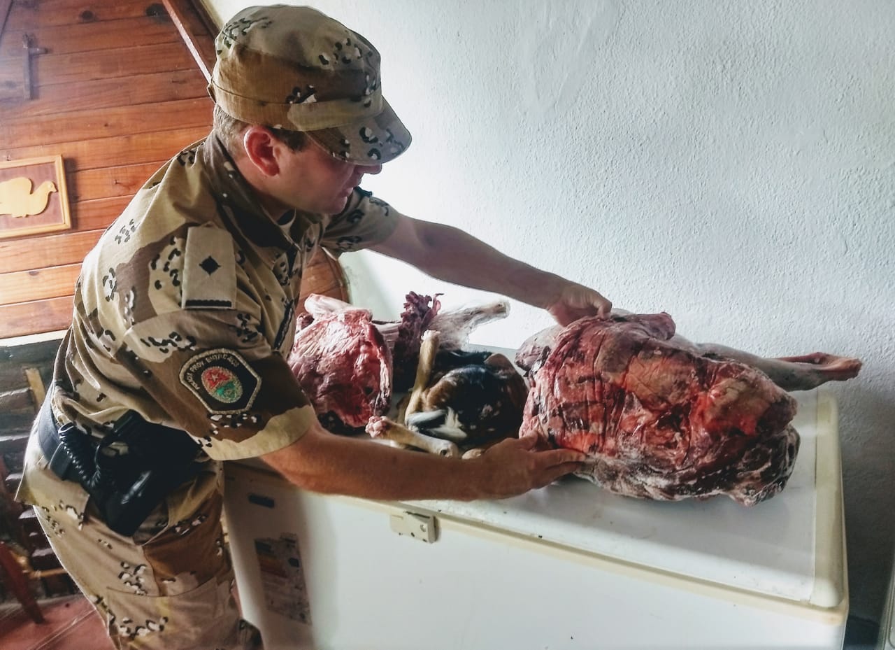 santa elena carne allanamiento caza