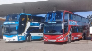 La Paz: convocaron a licitación pública la concesión del servicio de transporte urbano de pasajeros