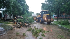 Fuerte temporal en Santa Elena: hubo caída de árboles y se activó un plan de contingencia